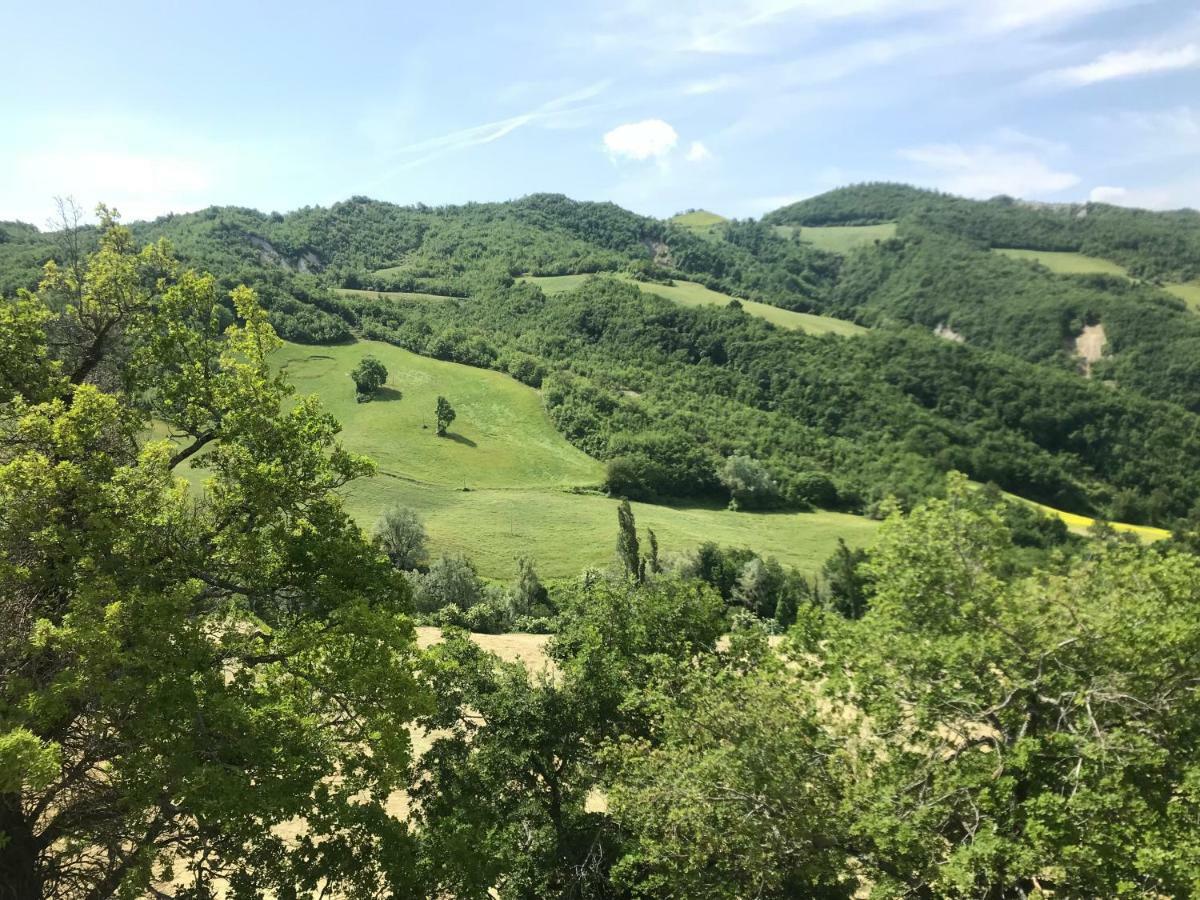 Agriturismo Il Cornio Sarsina Экстерьер фото